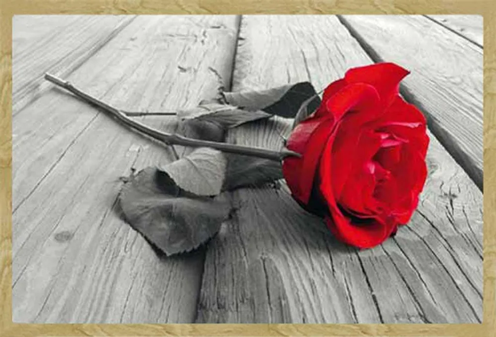 Quadro Red Rose Colourlight: Cornice Shinsuke MDF Faggio 61x91,5 cm