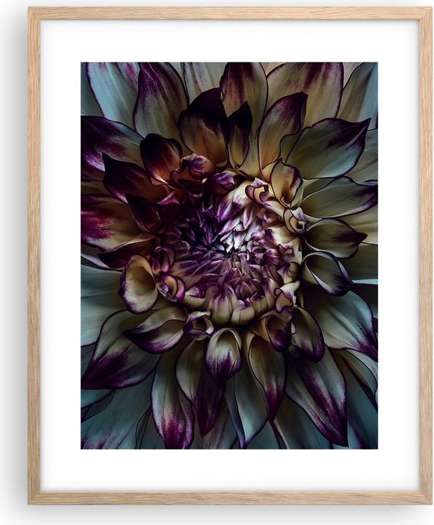 Gerahmtes Poster - Rahmen in heller Eiche - Blätter Agave Blume - 40x50 cm - Wand Bild - Wanddeko - Wandbilder - Kunstposter - Wandposter - Bilder...
