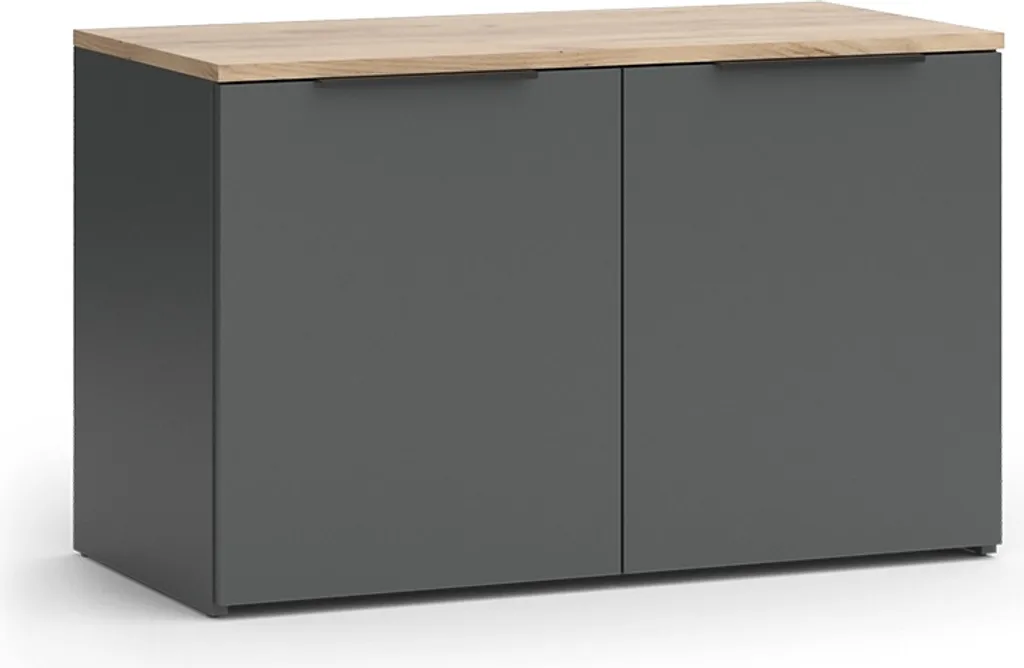 Buffet Vicco Wido Anthracite 80x50 cm avec 2 Portes Modèle 47671