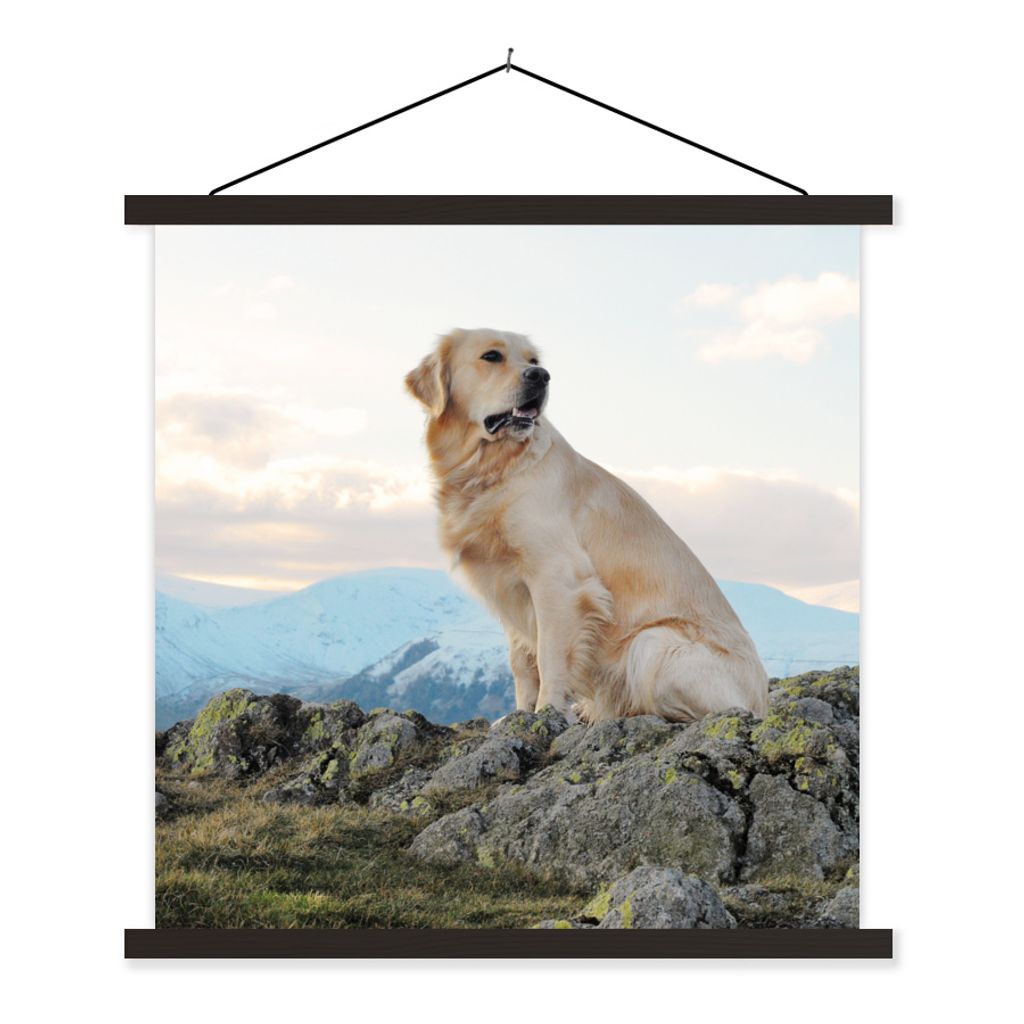 MuchoWow Textilposter Ein Golden Retriever sitzt auf den Felsen 40x40 cm mit schwarzem Rahmen - Fotos