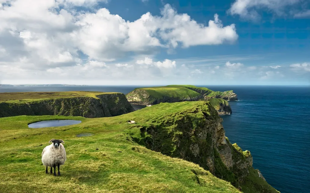 Papier peint panoramique paysage Irlande 450x280 pour masquer murs abîmés