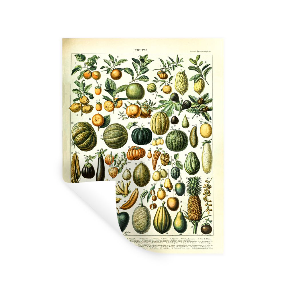 MuchoWow Wandtattoo Wandsticker Wandaufkleber Obst - Lebensmittel - Design - Vintage - Adolphe Millot 30x40 cm Selbstklebend und Repositionierbar...