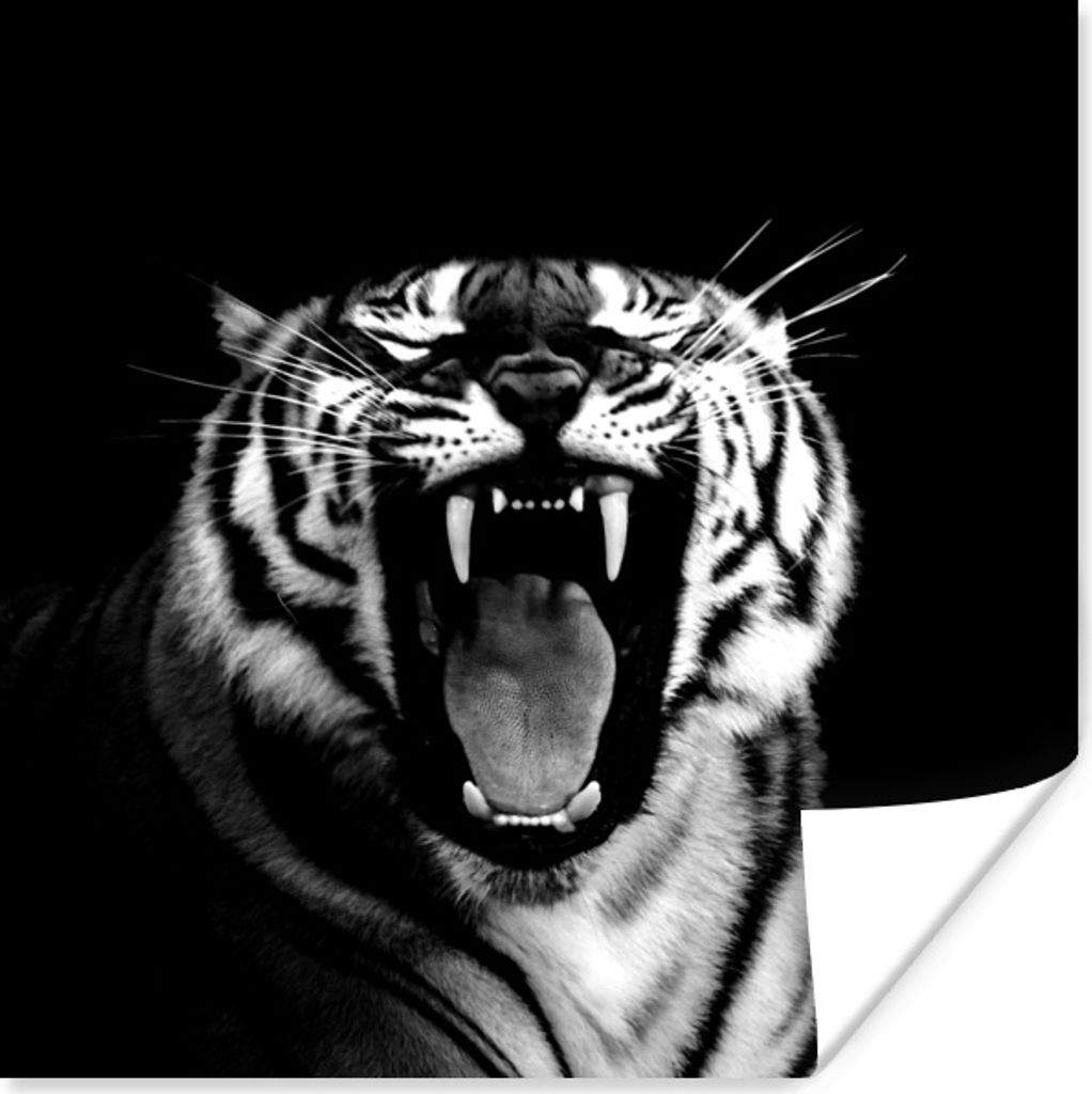 MuchoWow Poster Tiger - Muster - Schwarz - Weiß 30x30 cm - Wandposter - Printing