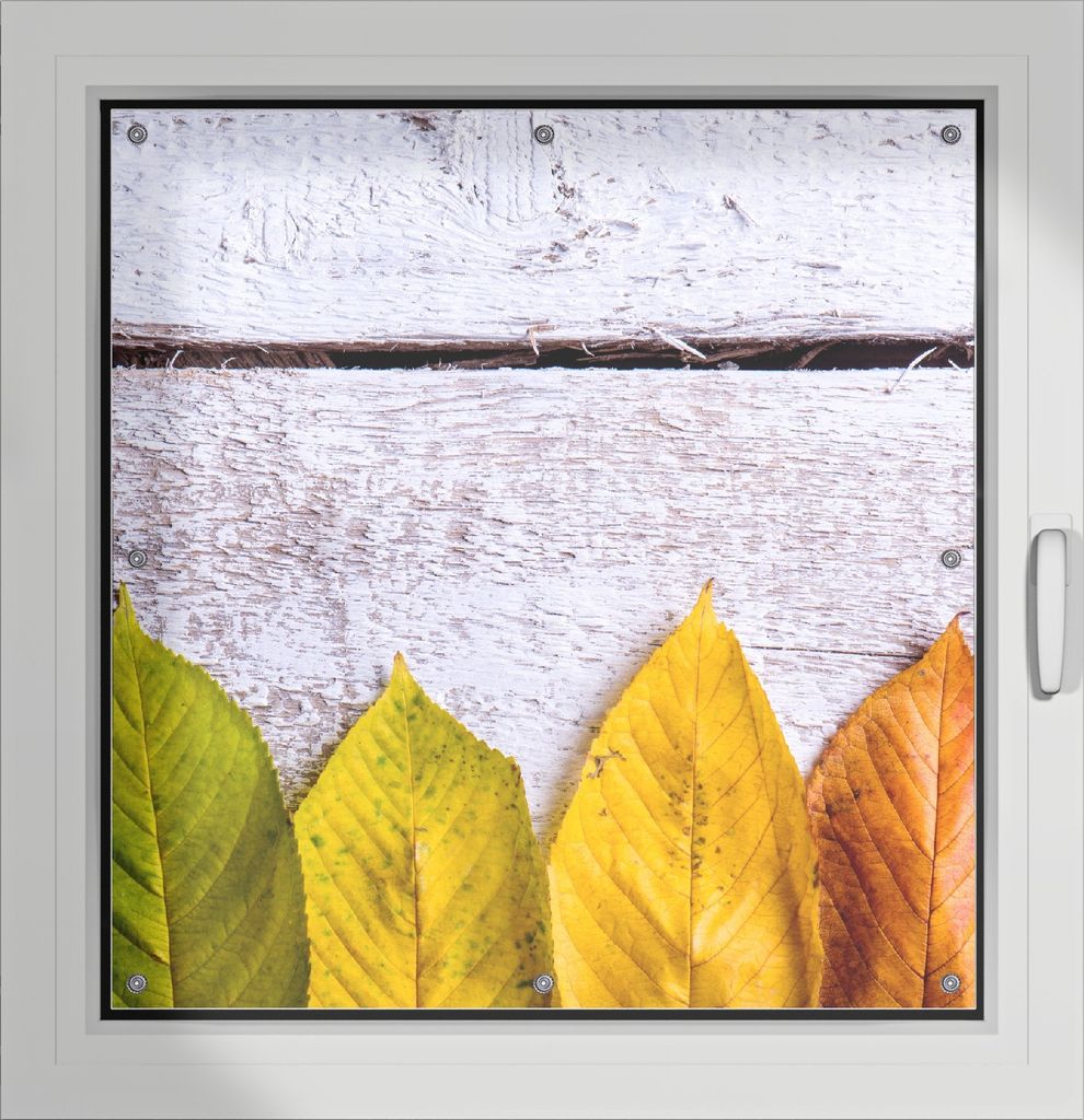 Wallario Lichtschutzbild, Dekorativer Sichtschutz Sonnenschutz 96 x 100 cm mit Motiv: Bunte Herbstblätter auf hellem Holz - Verdunklung ohne Bohren