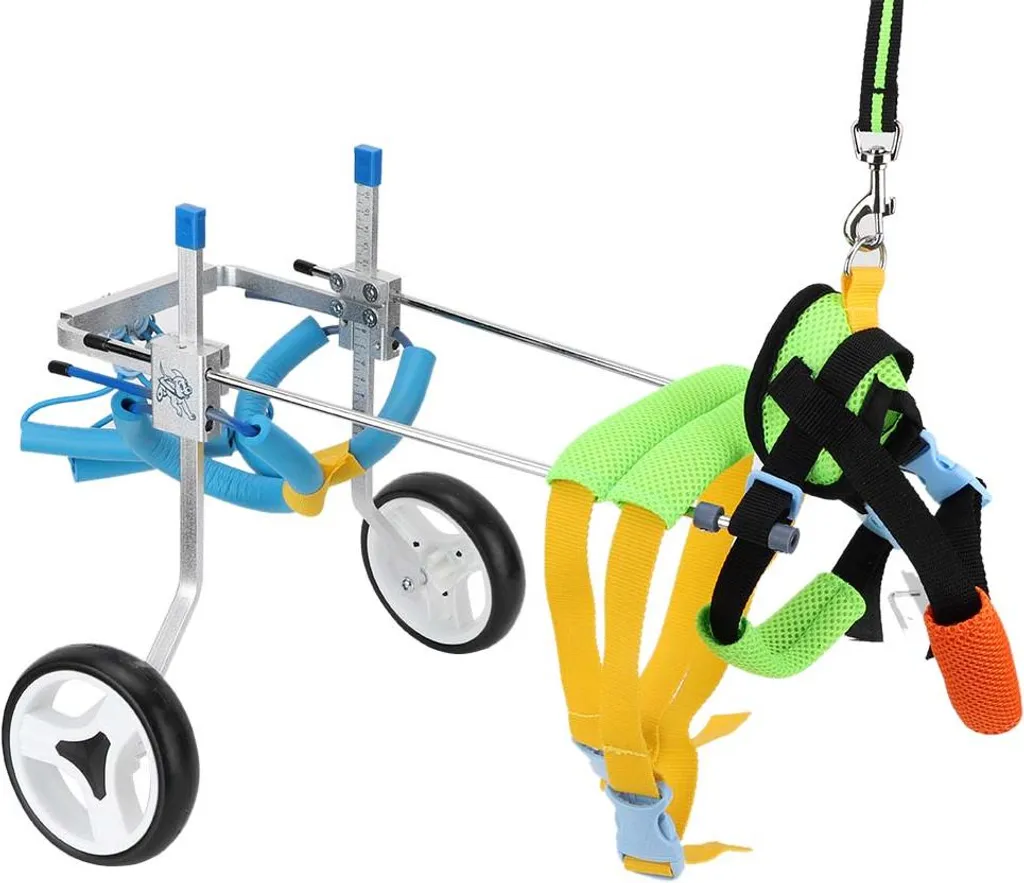 Solution paralysie chien : fauteuil roulant de mobilité avec soutien - 2