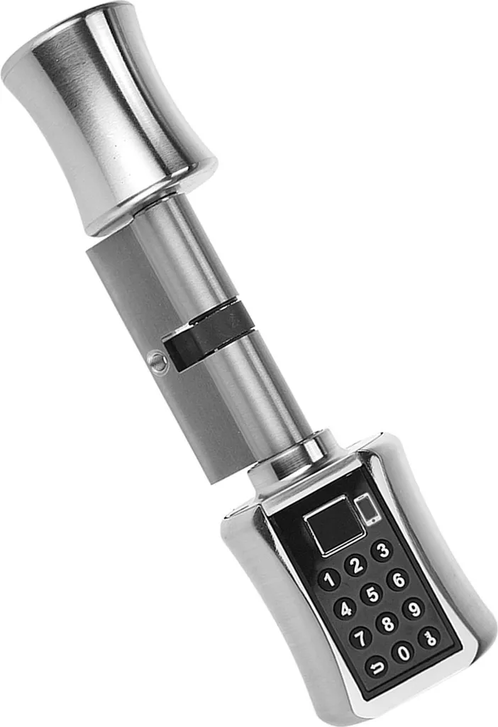 Serrure Intelligente Anti-vol avec Clavier à Code et Biométrie BT