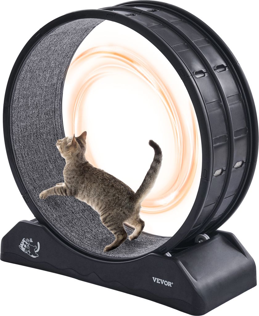 A cat is running on a cat wheel.