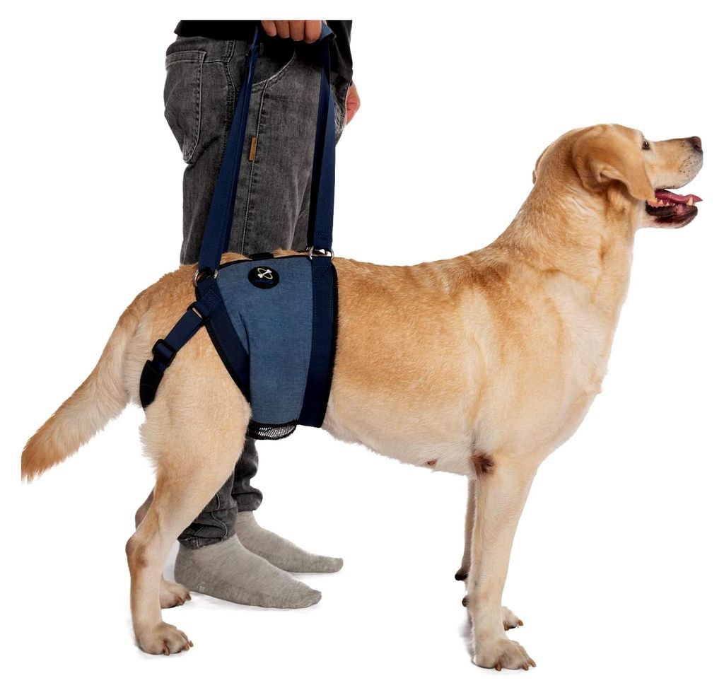 Hundetragetasche für Hunde, Hebegeschirr zur Unterstützung der Hinterbeine, Senior Hundegeschirr für schwache Hinterbeine nach einer ACL-Operati...