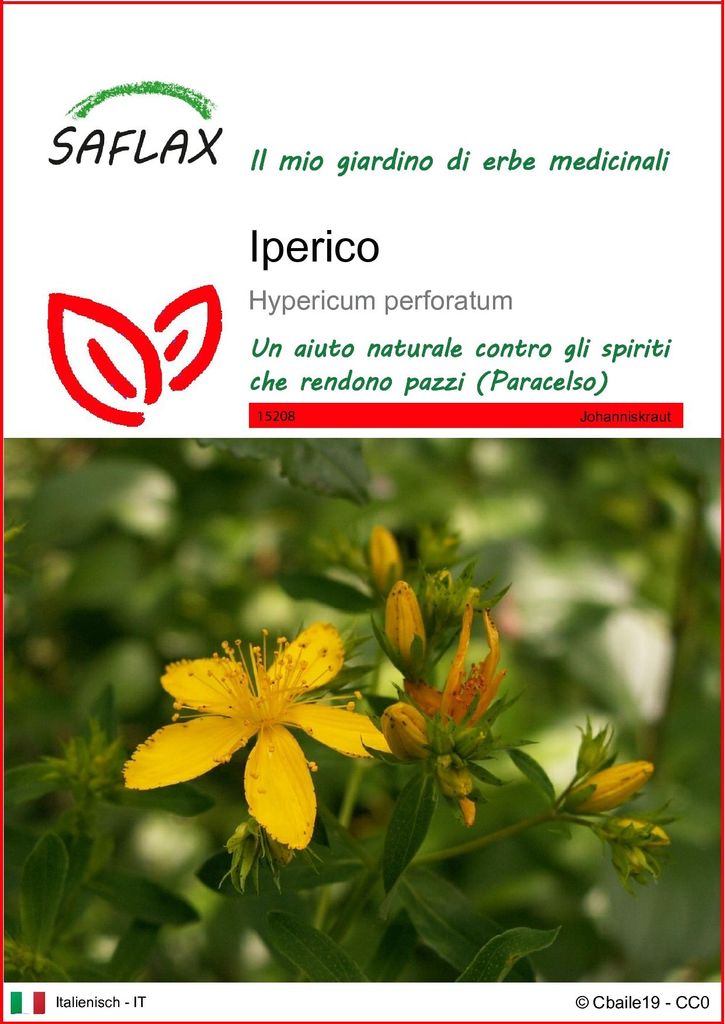 SAFLAX  - Iperico - 300 semi - Hypericum Immagine del prodotto 