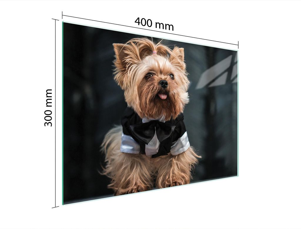 Schneidebrett Herdabdeckplatte Multiglasschneidplatte 40x30 cm Hund Yorkshire