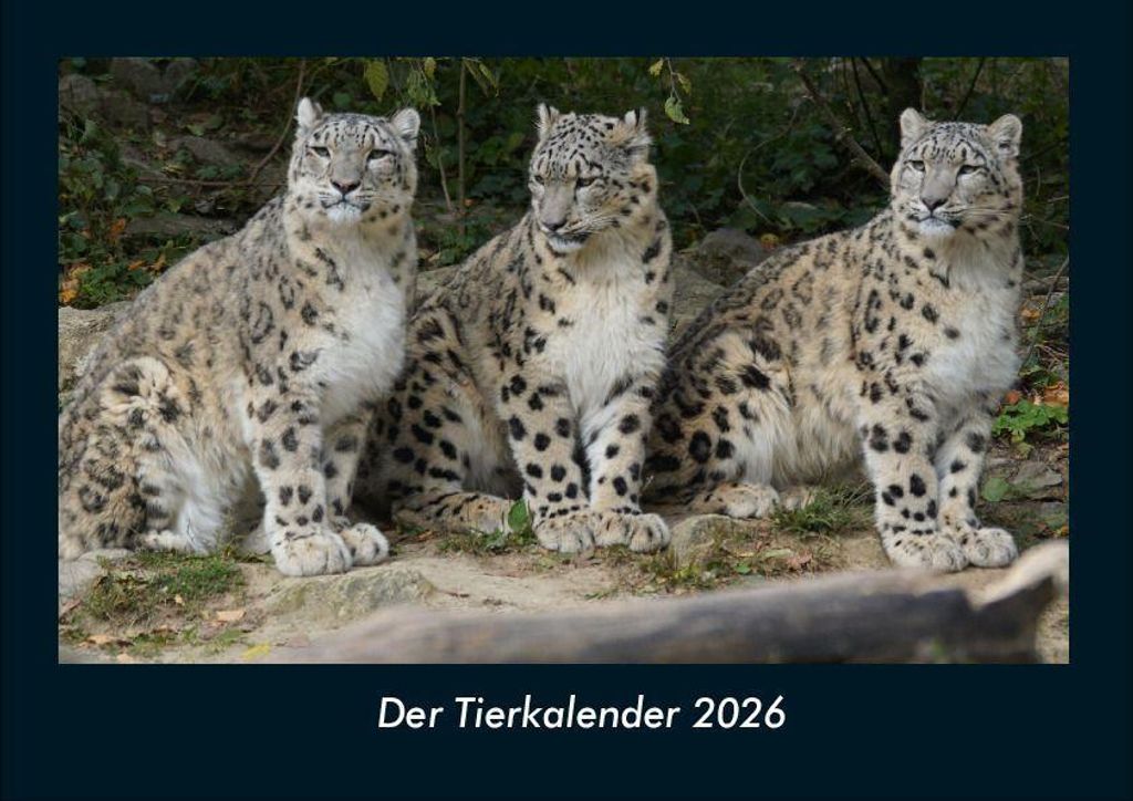 Der Tierkalender 2026 Fotokalender - Querformat DIN A4, Monatskalender mit Bild-Motiven von Haustieren, Bauernhof, wilden Tieren und Raubtieren