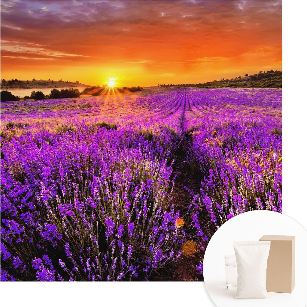Fototapete - Wandbilder für Wohnzimmer - 250x250 cm - Dekorative Wandfolie - Modernes Design für Wanddekoration - Tapeten für Innenräume - Lave...