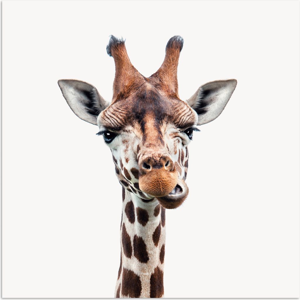 MuchoWow Poster Jungen - Giraffe - Tiere - Kopf - Porträt - Kind - Mädchen 50x50 cm - Wohnzimmerdekoration