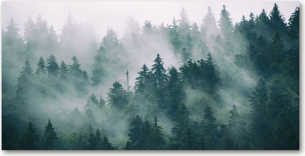 Tulup Glas-Bild -140x70- Wandkunst Dekorative Wand für Küche & Wohnzimmer - Landschaften - Nebel über dem Wald - Grau