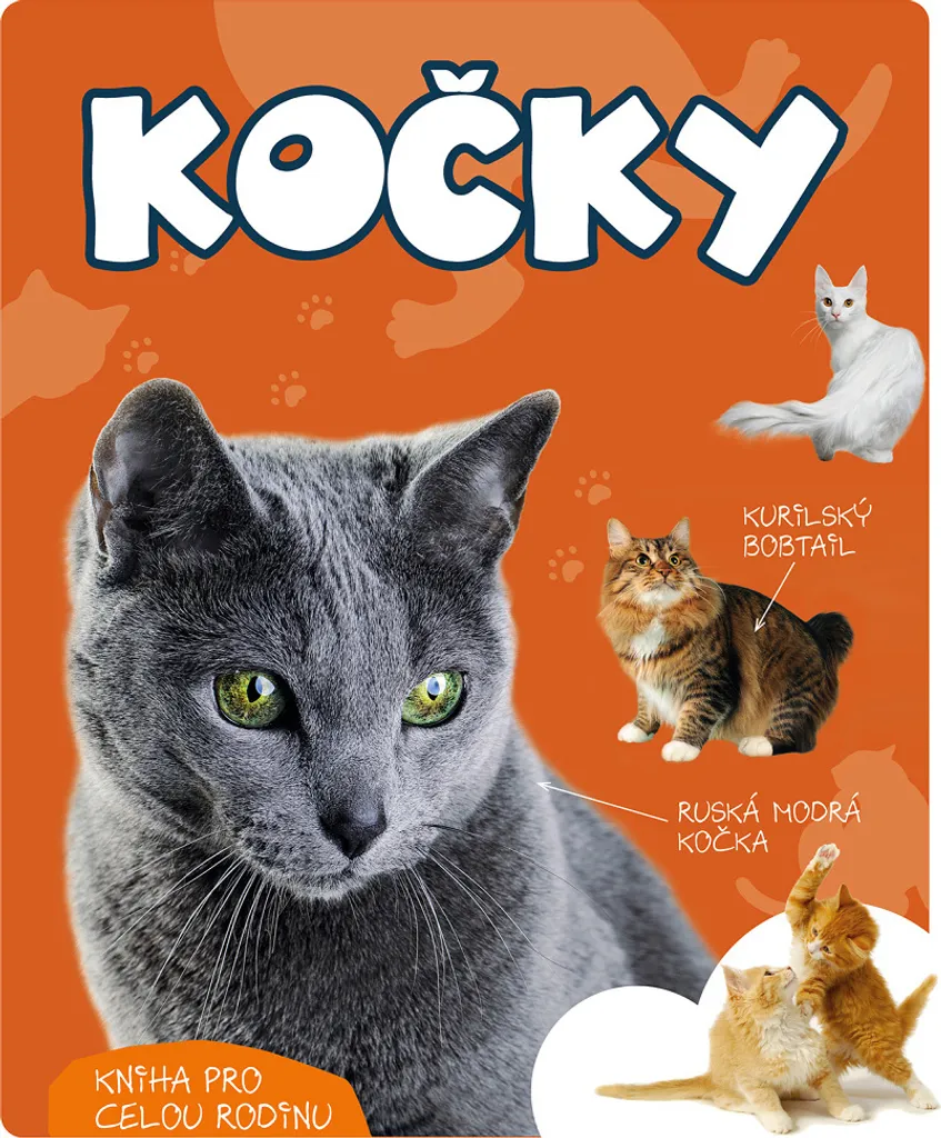 Beau livre photo Kočky de Filip Koky - Album artistique spécial chats
