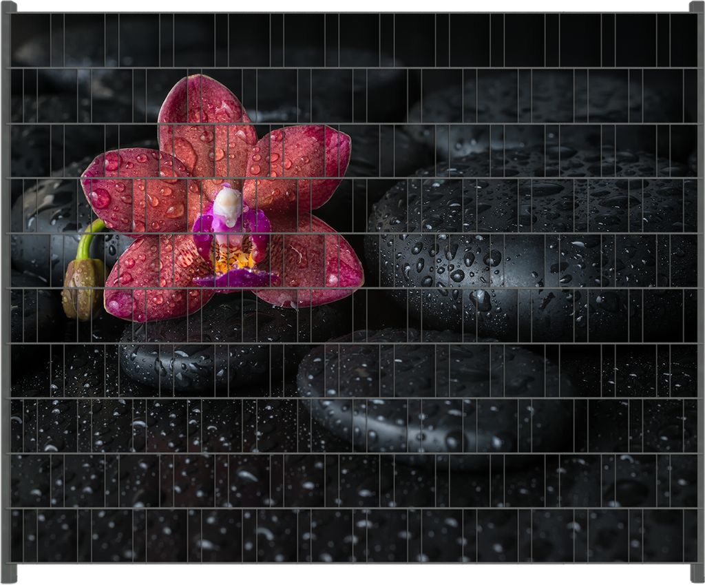 Wallario Zaunsichtschutz mit Motiv Orchideen-Blüte auf schwarzen Steinen, benetzt mit Wasser-Tropfen für Ein- und Doppelstabmatten Zäune in der ...