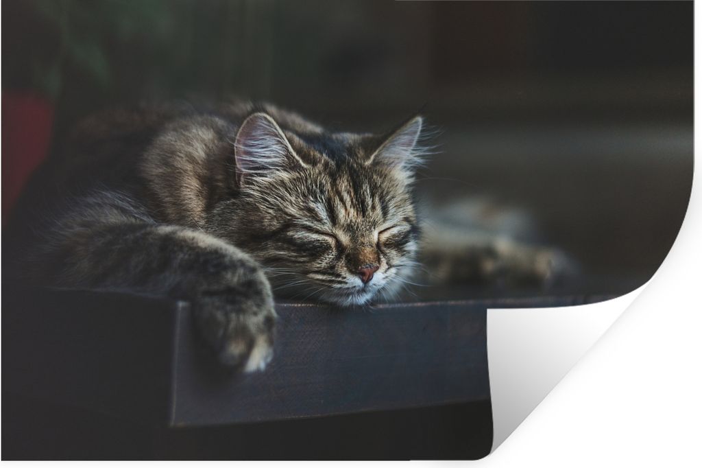 MuchoWow - Selbstklebend - Fototapeten