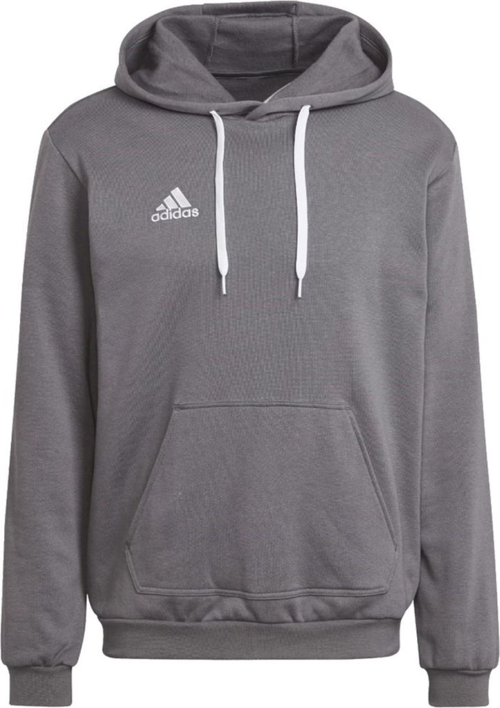 adidas Entrada 22 Sweat Hoodie S TEGRFO Produktbild 