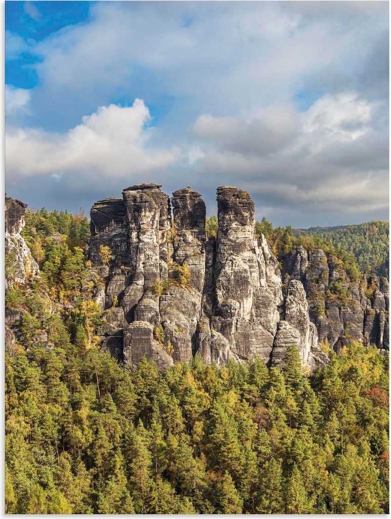 ARTland Wandbild Alu für Innen & Outdoor Felsen Bäume Sächsische Schweiz III Größe: 90x120 cm