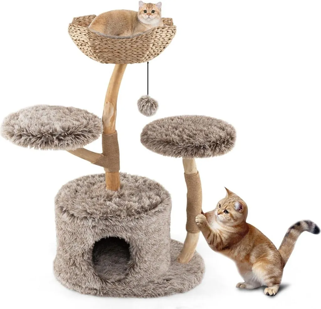 Arbre à chat bois bouleau 105 cm robuste contre les basculements