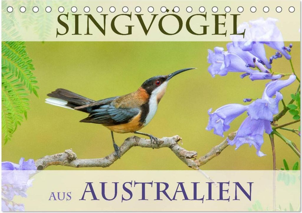 Singvögel aus Australien (Tischkalender 2026 DIN A5 quer), CALVENDO Monatskalender