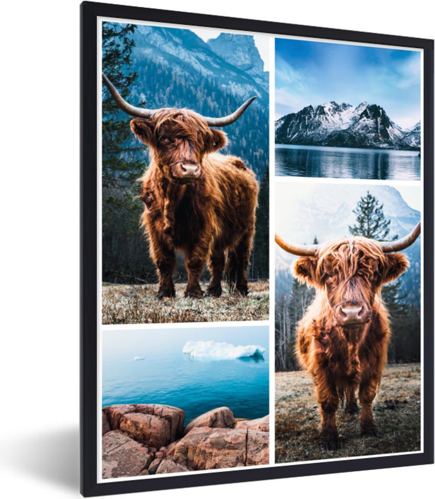 MuchoWow Gerahmtes Poster Schottischer Highlander - Tiere - Collage 60x80 cm - Poster mit Schwarzem Bilderrahmen Wandposter Rahmen Foto Bilder - ...