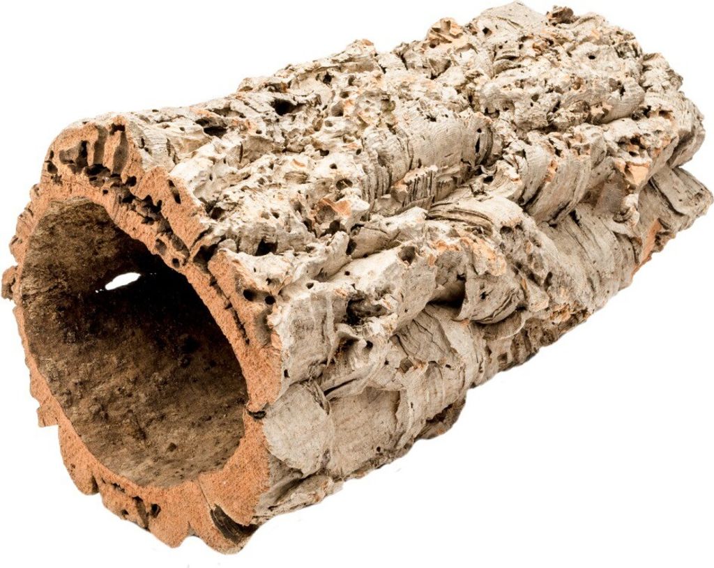 Korkeiche 'XL', Länge ca. 30 bis 40 cm, Durchmesser ca. 25 bis 35cm | Korktunnel