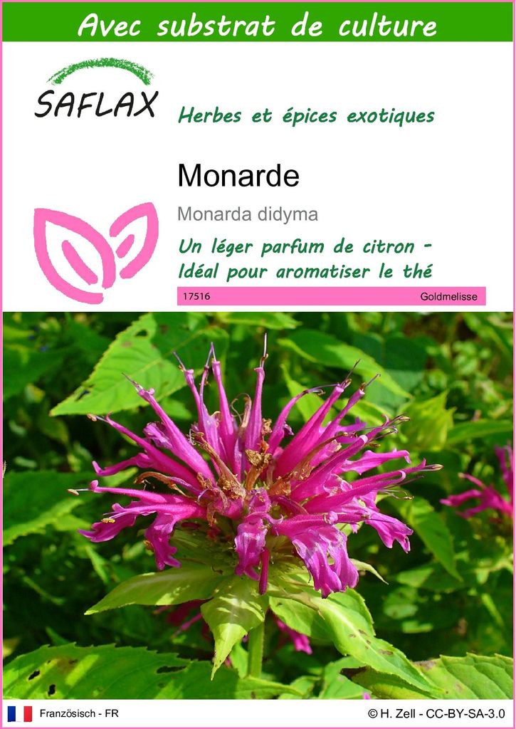 SAFLAX  - Monarde - 20 graines - Avec substrat - Monarda Image du produit 