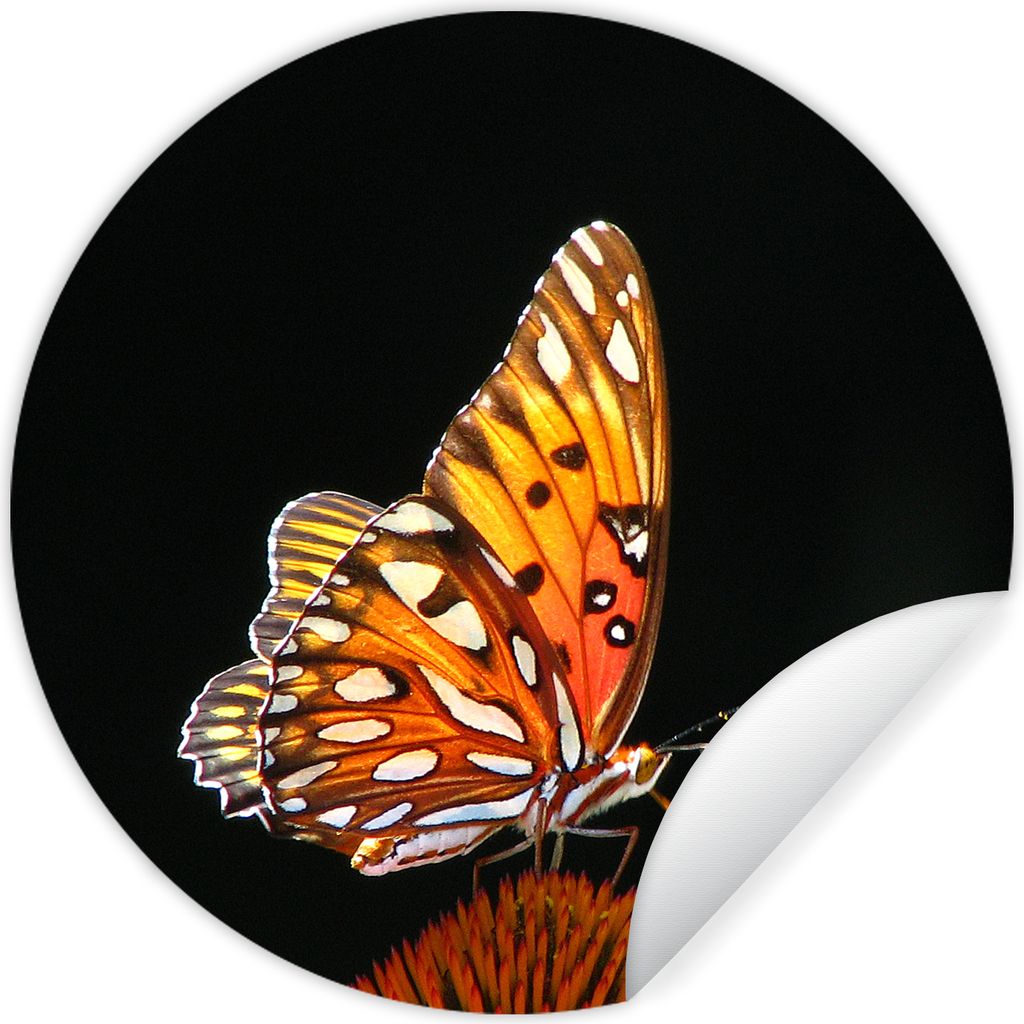 MuchoWow - Wandbild - Fototapete - Selbstklebend - Dekoration - Wandschmuck - Schlafzimmer