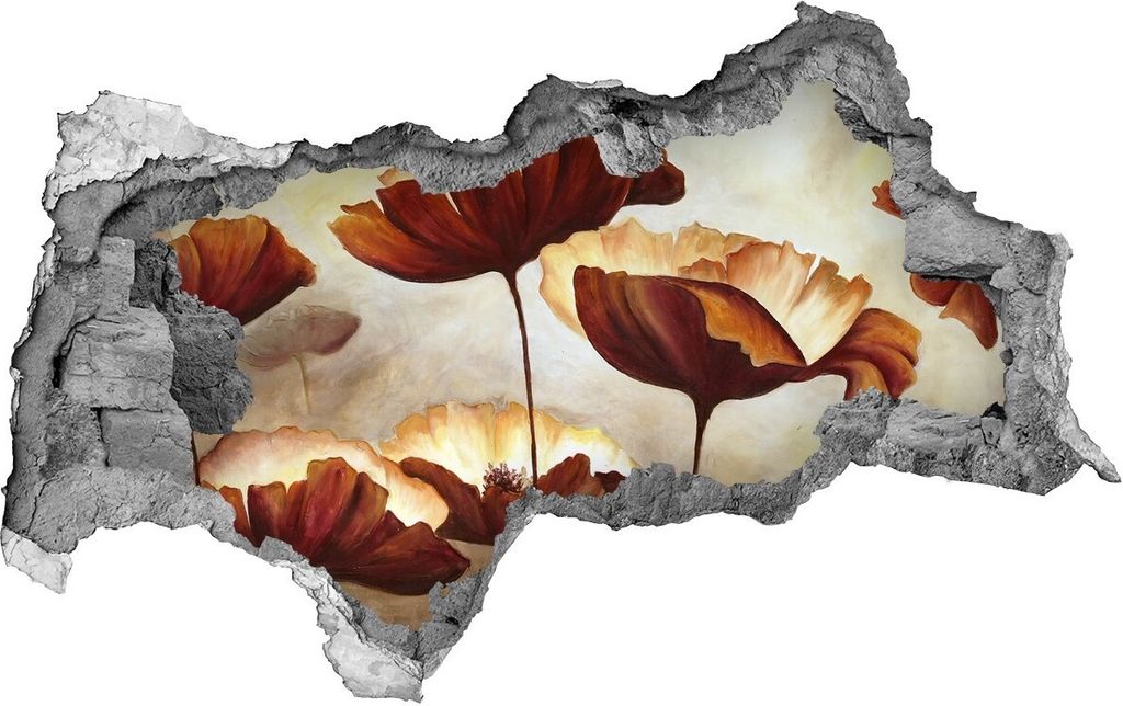Selbstklebender Loch-3D-Aufkleber 95x73 cm Maki