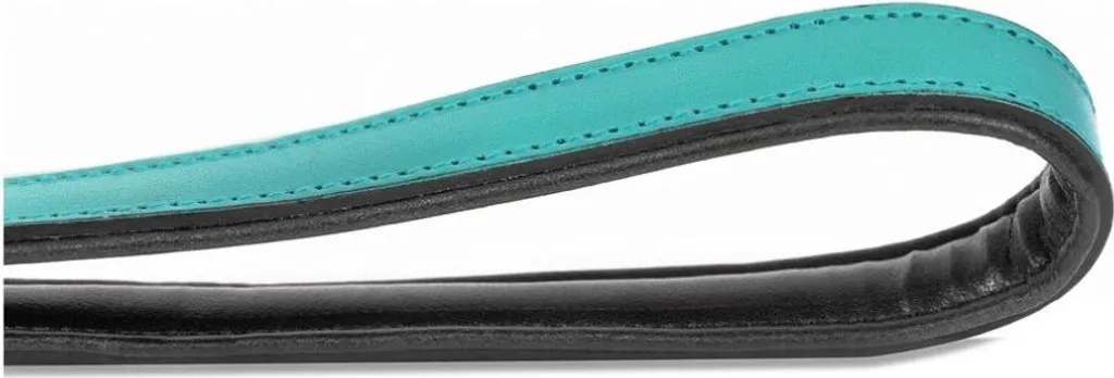 Guinzaglio in Nylon Gloria Turchese 1,8x100 cm | Stock Pet Shop