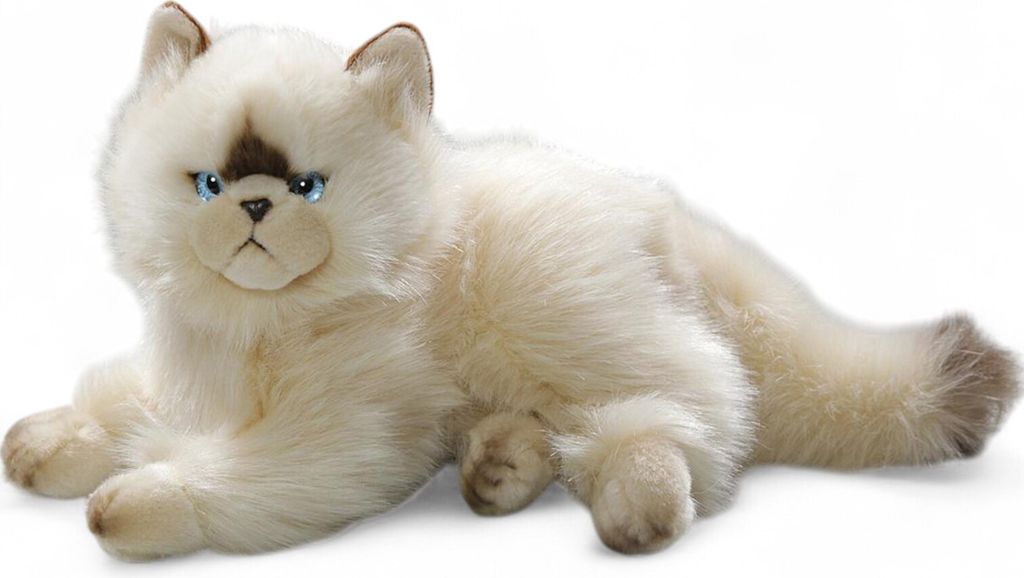 A plush toy cat lying down on a white background.