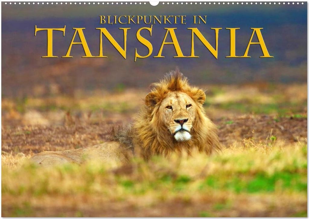 Blickpunkte Tansanias (Wandkalender 2026 DIN A2 quer), CALVENDO Monatskalender