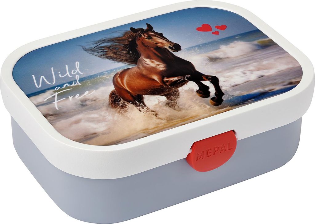 Mepal - Brotdose Campus - Bento Box Kinder - Brotdose mit Fächern & Gabel - Meal Prep Box mit Clip-Verschluss - BPA-frei & Spülmaschinenfest - 75...