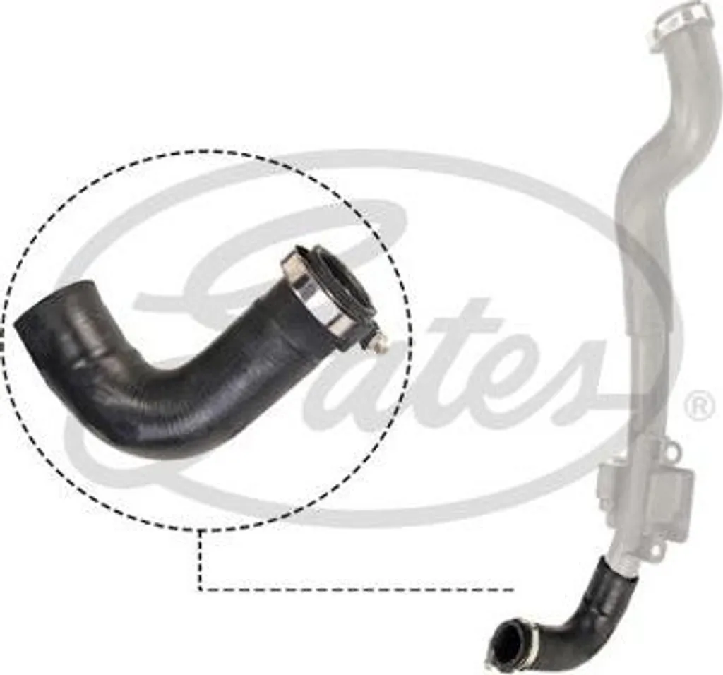 Tubo Flessibile GATES 09-0521 Originale per Aria Sovralimentazione Kangoo