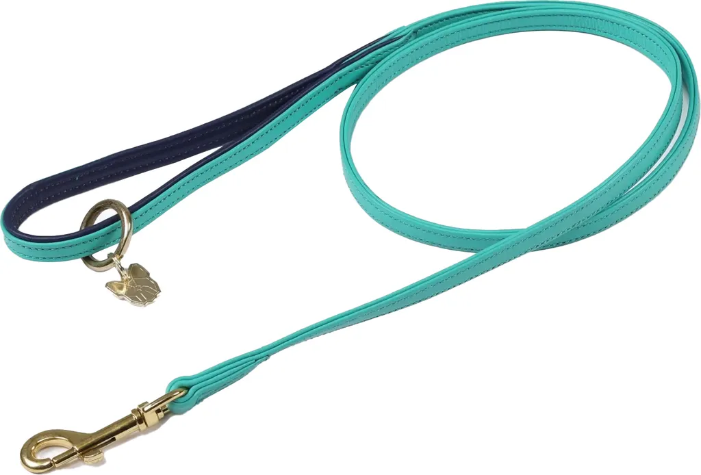 Laisse de marche ville pour chien en cuir aqua - Contrôle et sécurité