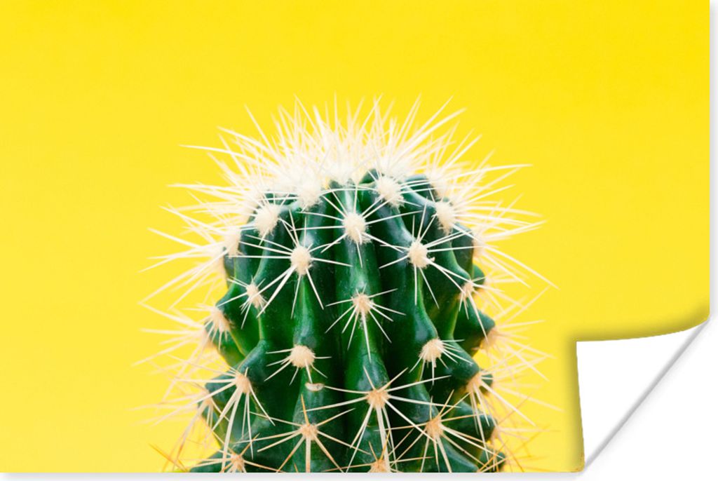 MuchoWow Poster Kaktus auf gelb 180x120 cm - Fotoplakat
