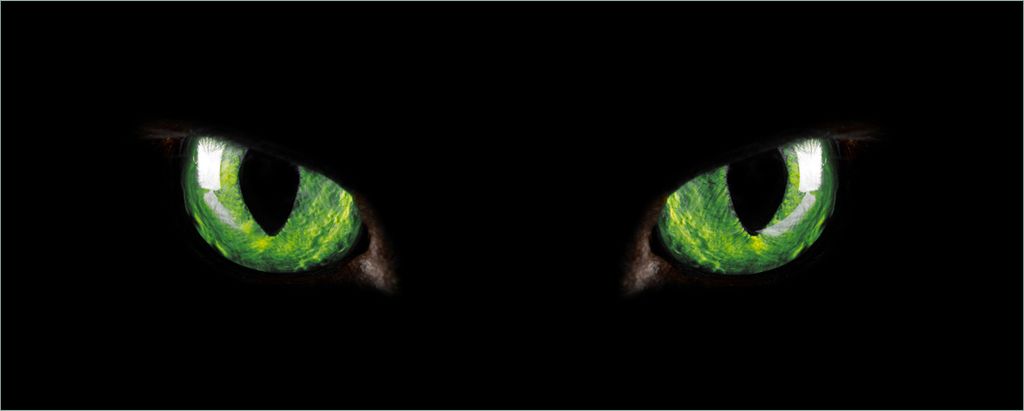 Wallario Poster - Grüne Katzenaugen bei Nacht, Kunstdruck Größe: 50 x 125 cm