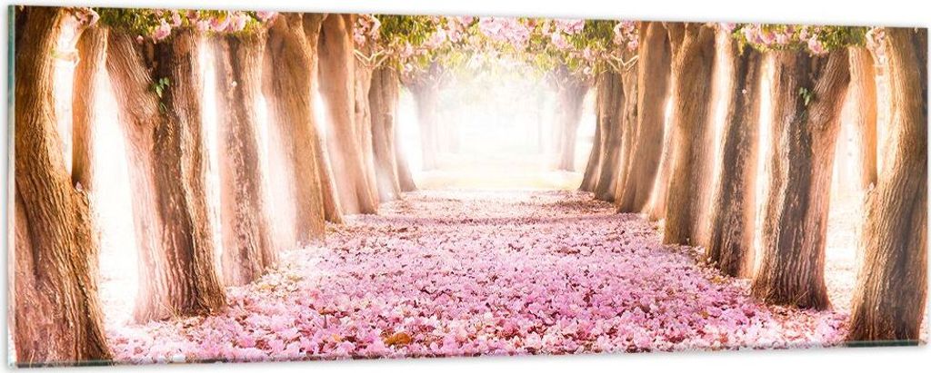 Bilder auf glas - Baum Blumen Kirsche Natur - 90x30cm - Glasbilder - Wandbilder - Kunstdruck - zum Aufhängen bereit - Wanddekoration aus Glas - Gl...