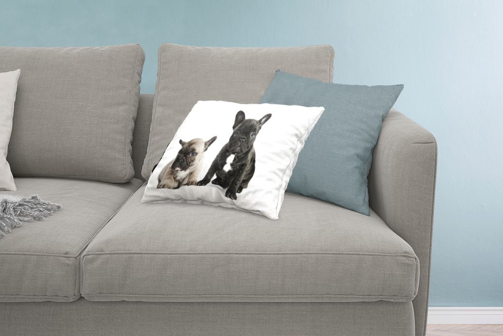 MuchoWow Zierkissen Sofakissen Wohnzimmer Dekokissen 60x40 cm Zwei Bulldoggenwelpen sitzen vor einem weißen Hintergrund - Kopfkissen - Polster m...