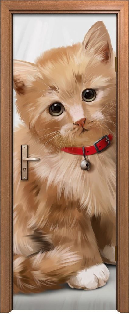 Türposter 70x200 cm Türaufkleber Türtapete Türfolie Klebefolie niedliche Tiere Katze Hund