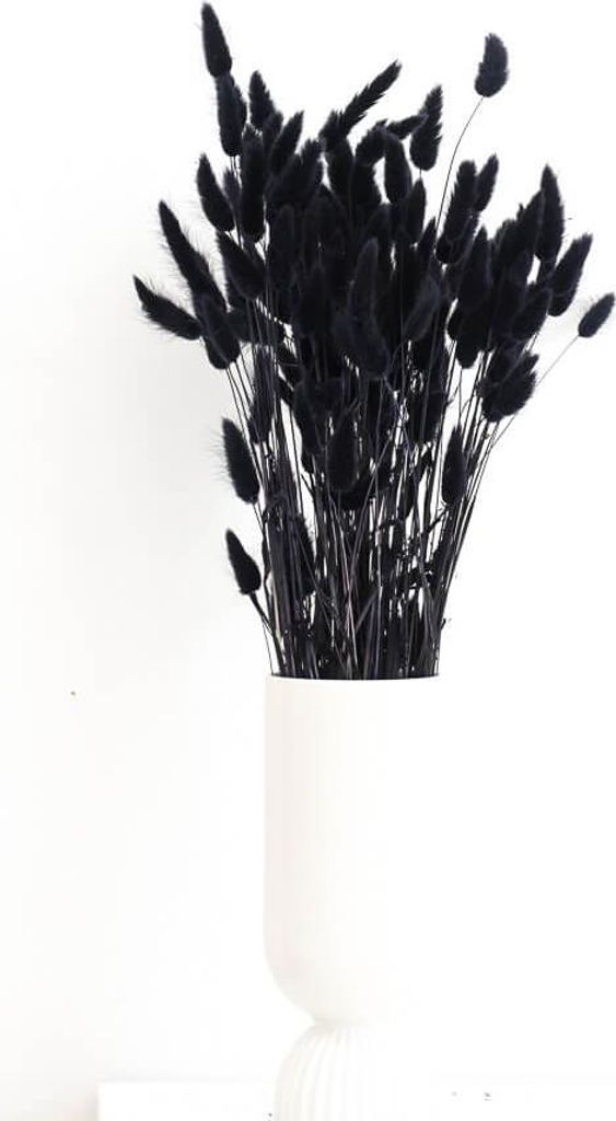 Lagurus Hasenschwanz Samtgras Trockenblumen 60-70cm DIY Produktbild 