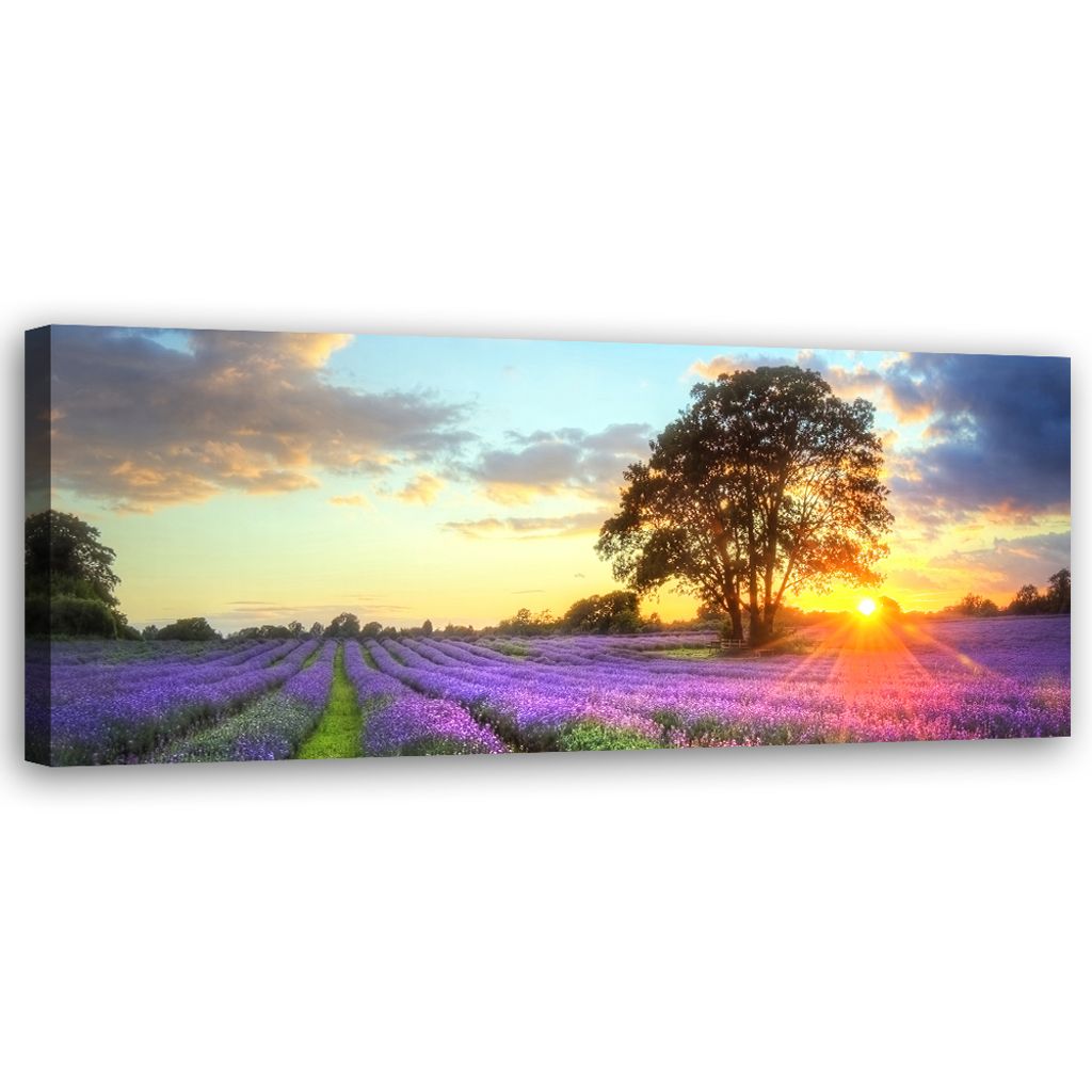 Leinwandbild Baum in einem Lavendelfeld 120x40 Feeby Violett bild für die wand bereit zum aufhängen