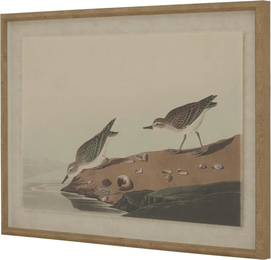 Art mural encadré Flora & Fauna Hill Interiors HI5171 marron 62 cm