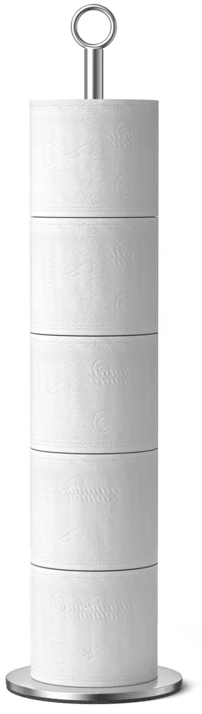 Porte-rouleau WC grande capacité en acier inoxydable, stockage 6 pcs