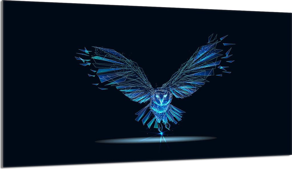 Herdabdeckplatte 90x52 Glaskeramikkochfeld Abdeckung Spritzschutz Glasplatte Deko Schneidebrett, Vogel Schwarz