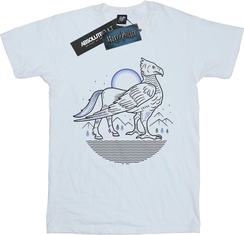 Harry Potter - T-Shirt für Herren BI29569 (XL) (Weiß)