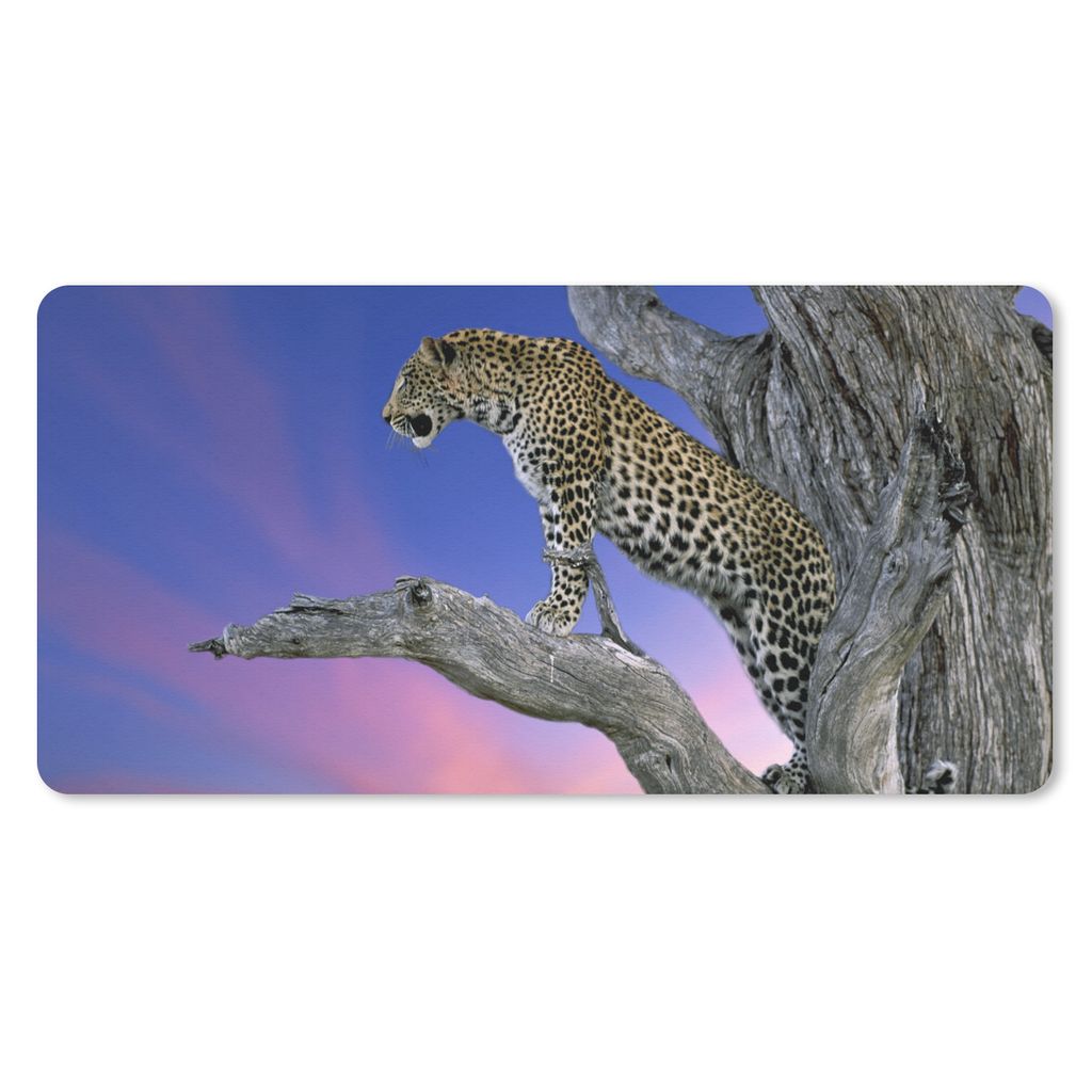 MuchoWow Schreibtischunterlage Leopard - Baum - Zweig 80x40 cm - XXL Mauspad - Gaming Mauspad