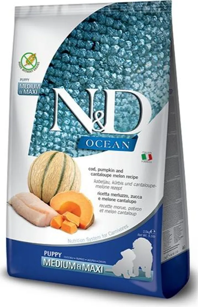 Nourriture Chiot Grande Race Morue Citrouille N&D Ocean 12 kg