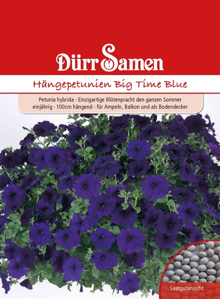 Dürr-Samen - Petunia Big Time Blue blu scuro annuale 100 cm Immagine del prodotto 